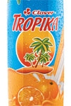 Clover tropika