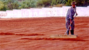 Rooibos fermenting