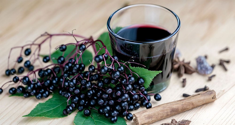 Elderberry