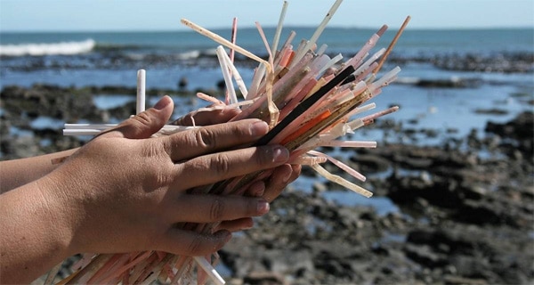 Straws suck!